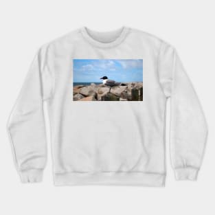 Laughing Gull Crewneck Sweatshirt